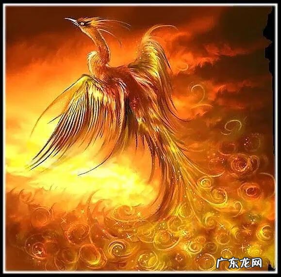 风水宝地紫藤缠棺图片 紫藤缠棺的风水