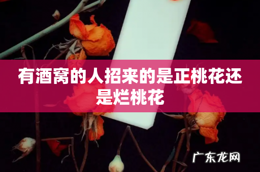 有酒窝的人招来的是正桃花还是烂桃花