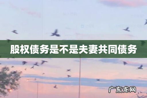 股权债务是不是夫妻共同债务