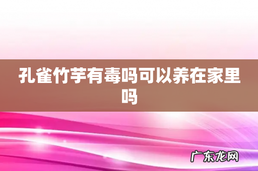 孔雀竹芋有毒吗可以养在家里吗