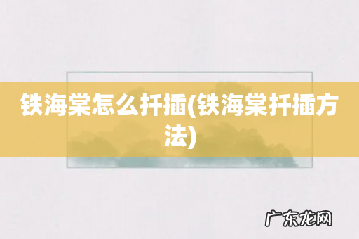 铁海棠扦插方法 铁海棠怎么扦插