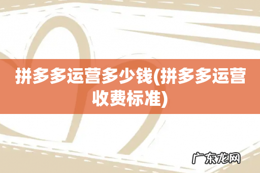 拼多多运营收费标准 拼多多运营多少钱