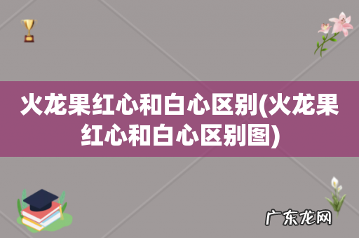 火龙果红心和白心区别图 火龙果红心和白心区别