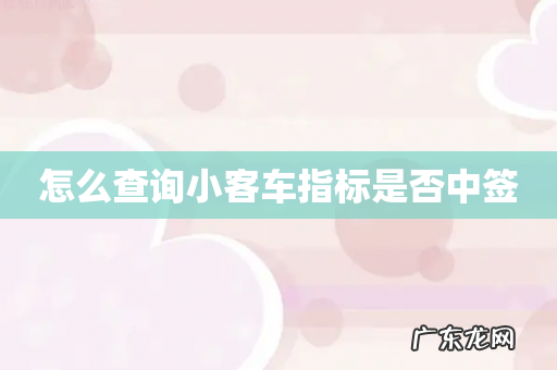 怎么查询小客车指标是否中签