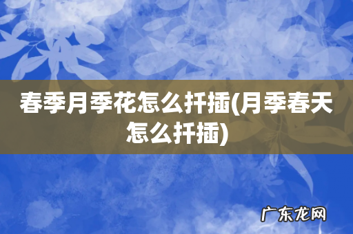 月季春天怎么扦插 春季月季花怎么扦插