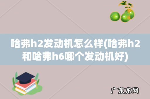 哈弗h2和哈弗h6哪个发动机好 哈弗h2发动机怎么样