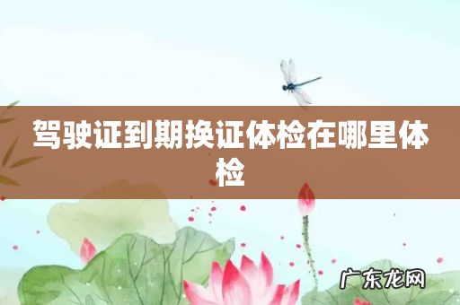 驾驶证到期换证体检在哪里体检