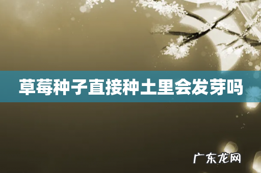 草莓种子直接种土里会发芽吗