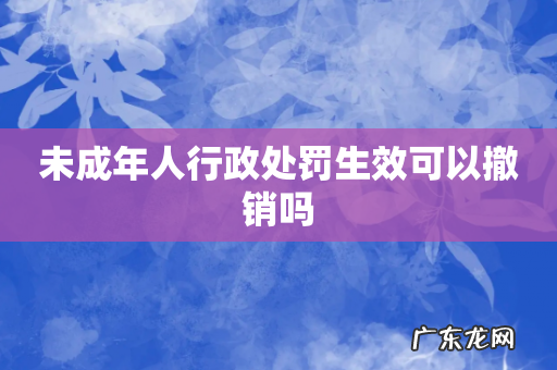 未成年人行政处罚生效可以撤销吗