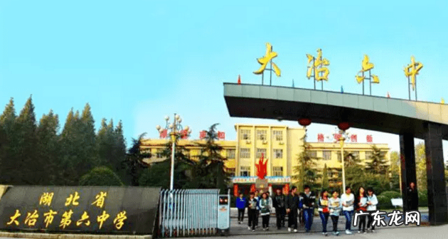 爱心公益活动方案 爱心公益活动有哪些