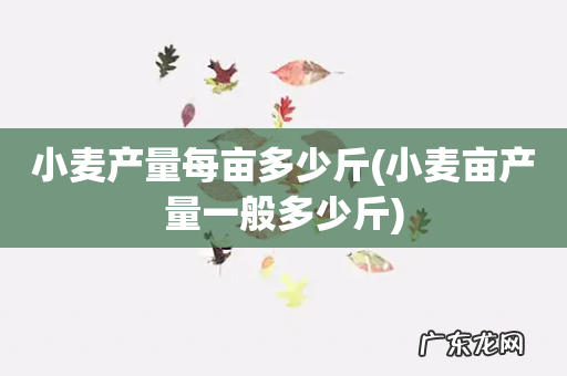 小麦亩产量一般多少斤 小麦产量每亩多少斤