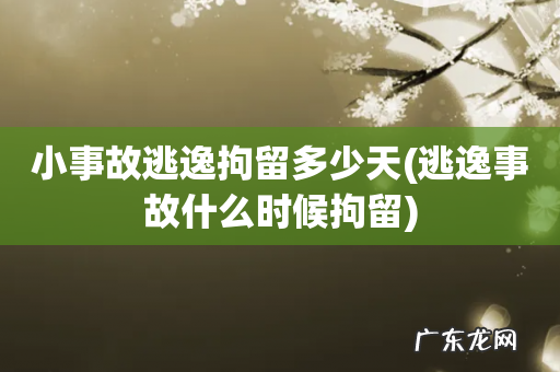 逃逸事故什么时候拘留 小事故逃逸拘留多少天
