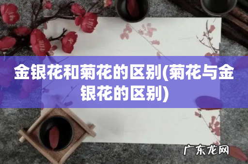 菊花与金银花的区别 金银花和菊花的区别