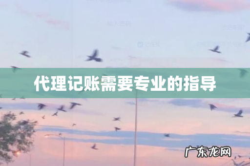 代理记账需要专业的指导
