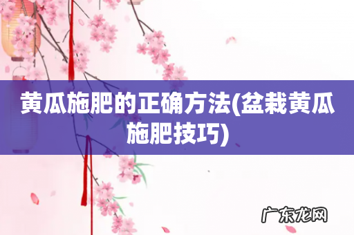 盆栽黄瓜施肥技巧 黄瓜施肥的正确方法