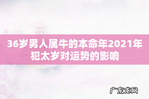 36岁男人属牛的本命年2021年犯太岁对运势的影响