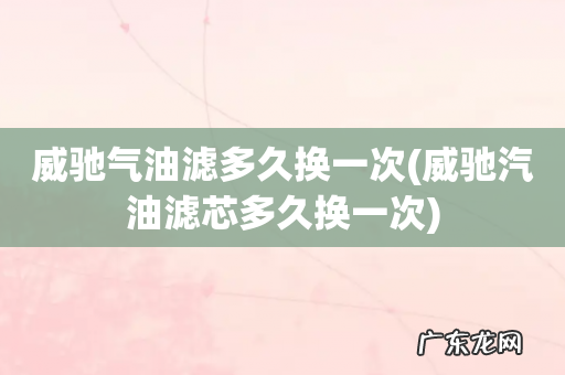 威驰汽油滤芯多久换一次 威驰气油滤多久换一次