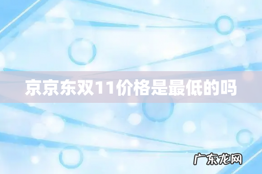 京京东双11价格是最低的吗