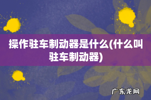 什么叫驻车制动器 操作驻车制动器是什么