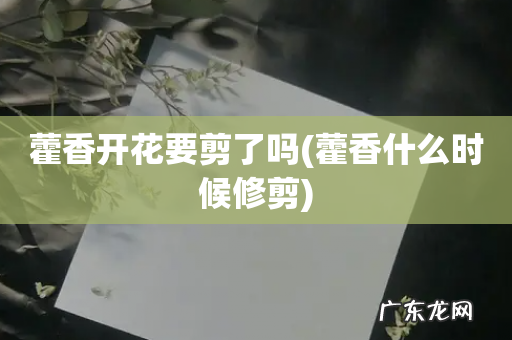 藿香什么时候修剪 藿香开花要剪了吗