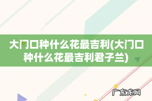 大门口种什么花最吉利君子兰 大门口种什么花最吉利