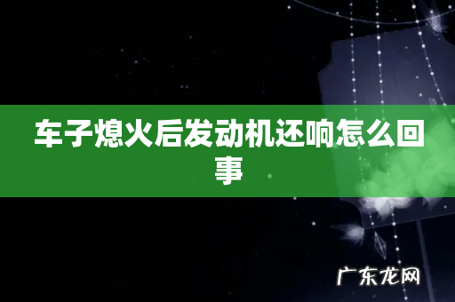 车子熄火后发动机还响怎么回事