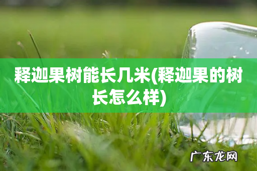 释迦果的树长怎么样 释迦果树能长几米