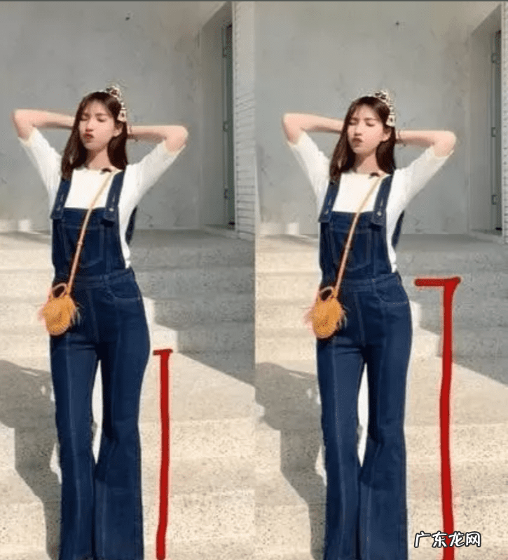 身材分类与服装搭配 身材与服装搭配教案