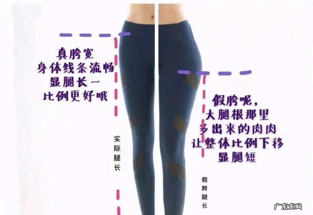 身材分类与服装搭配 身材与服装搭配教案