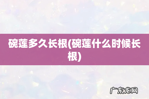 碗莲什么时候长根 碗莲多久长根