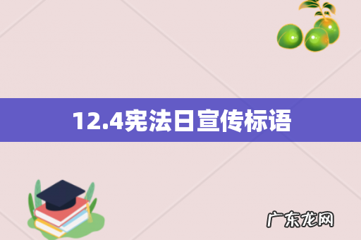 12.4宪法日宣传标语