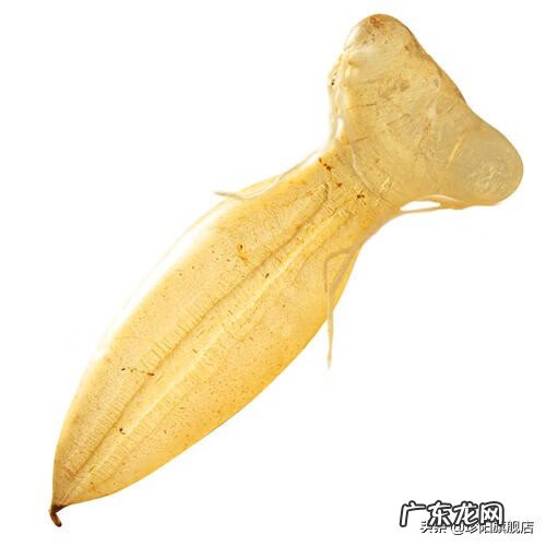 花胶为什么叫花胶 花胶是啥