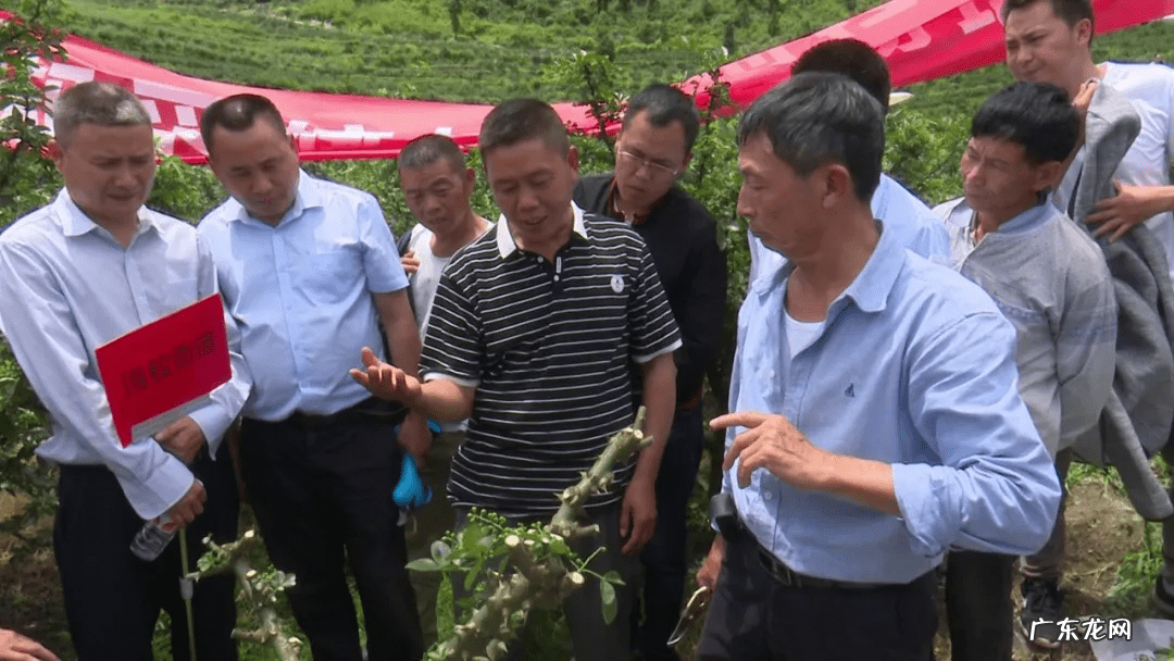 林青霞近况 风水镇荣保村近况