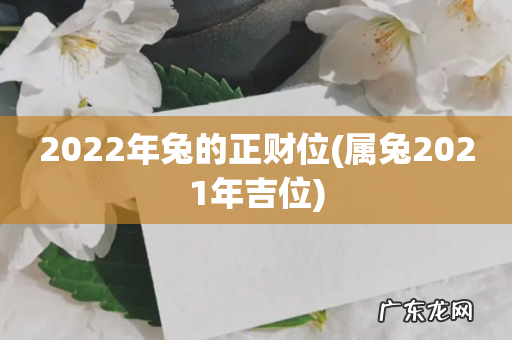 属兔2021年吉位 2022年兔的正财位