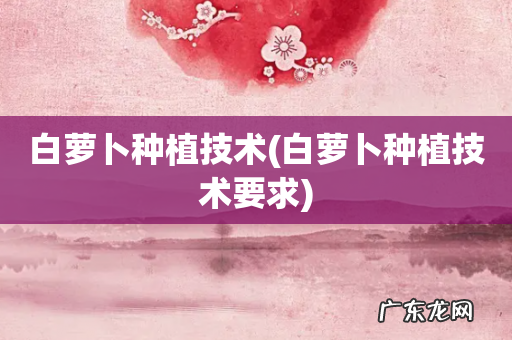 白萝卜种植技术要求 白萝卜种植技术
