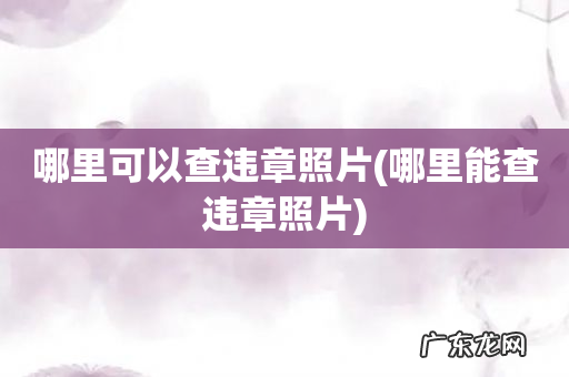 哪里能查违章照片 哪里可以查违章照片