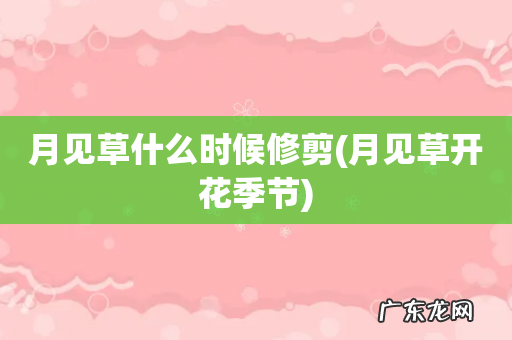 月见草开花季节 月见草什么时候修剪