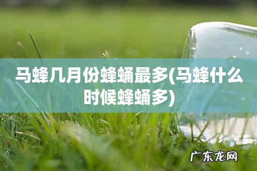 马蜂什么时候蜂蛹多 马蜂几月份蜂蛹最多