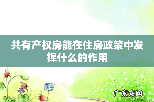 共有产权房能在住房政策中发挥什么的作用