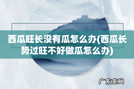 西瓜长势过旺不好做瓜怎么办 西瓜旺长没有瓜怎么办