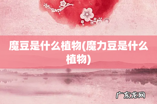 魔力豆是什么植物 魔豆是什么植物