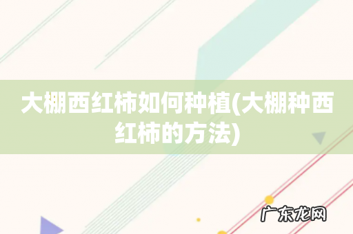 大棚种西红柿的方法 大棚西红柿如何种植