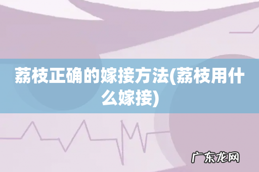 荔枝用什么嫁接 荔枝正确的嫁接方法