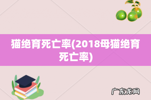 2018母猫绝育死亡率 猫绝育死亡率