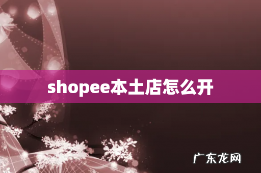 shopee本土店怎么开