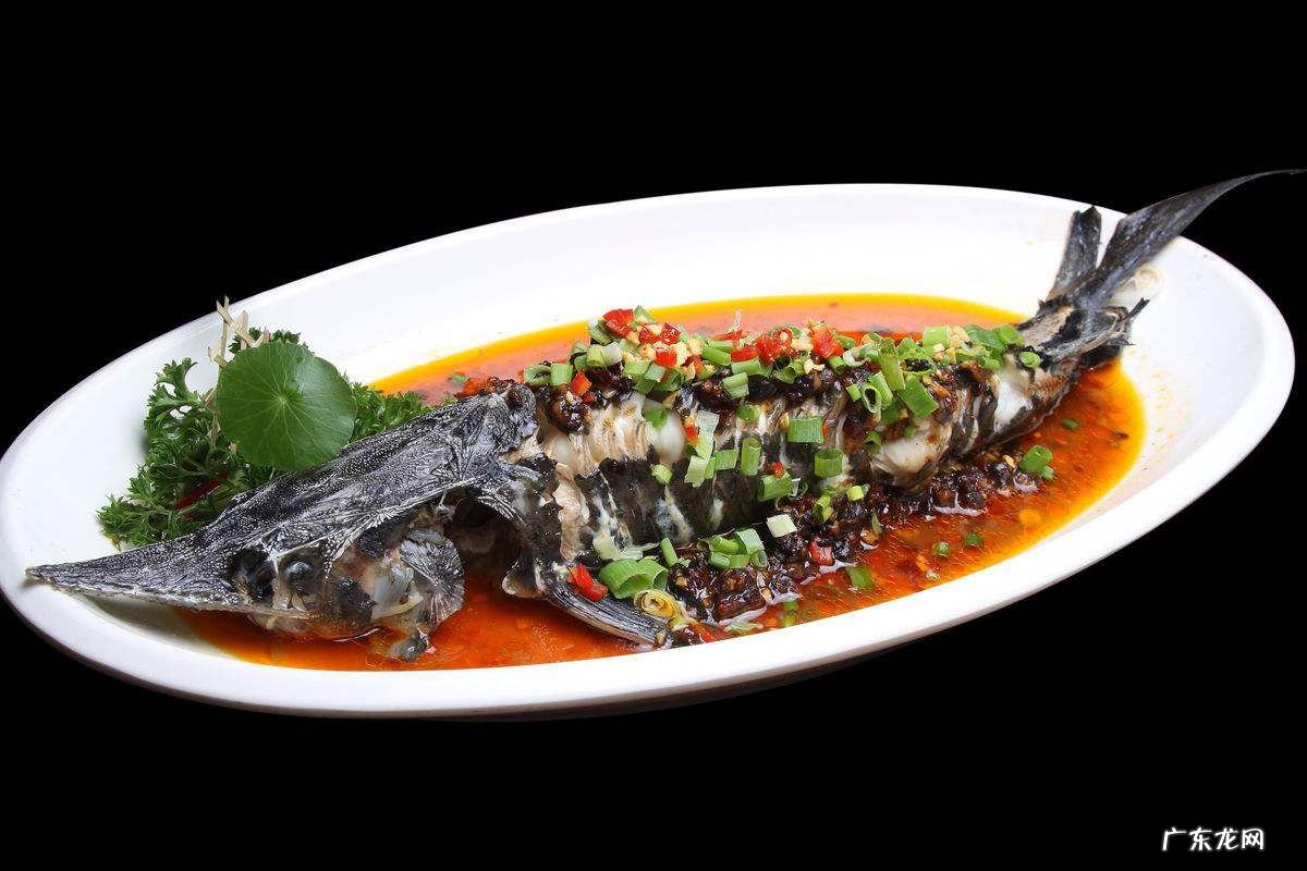 鲟鱼吃啥 鲟鱼吃什么的