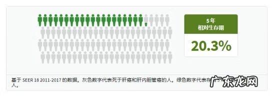 早期肝癌切除后活多久 肝癌中期能活多久一般