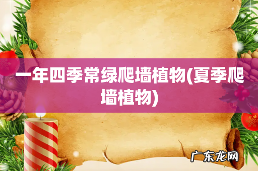 夏季爬墙植物 一年四季常绿爬墙植物