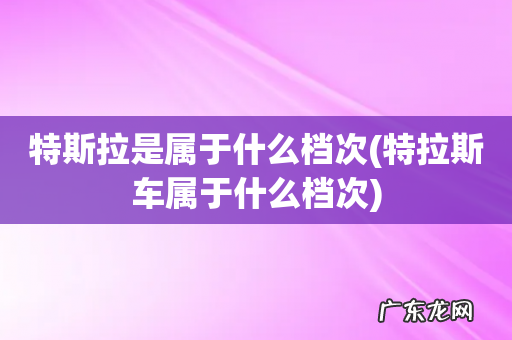 特拉斯车属于什么档次 特斯拉是属于什么档次