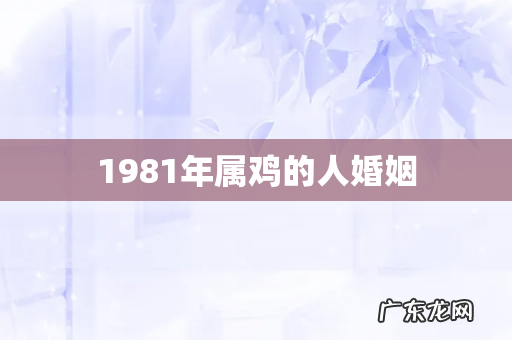 1981年属鸡的人婚姻